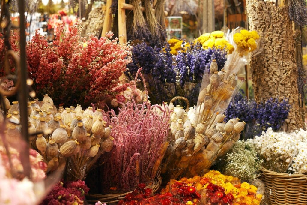 乾燥花