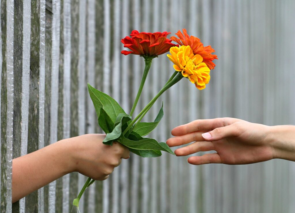 畢業花束什麼時候送？畢業送什麼花？這些都沒有標準答案